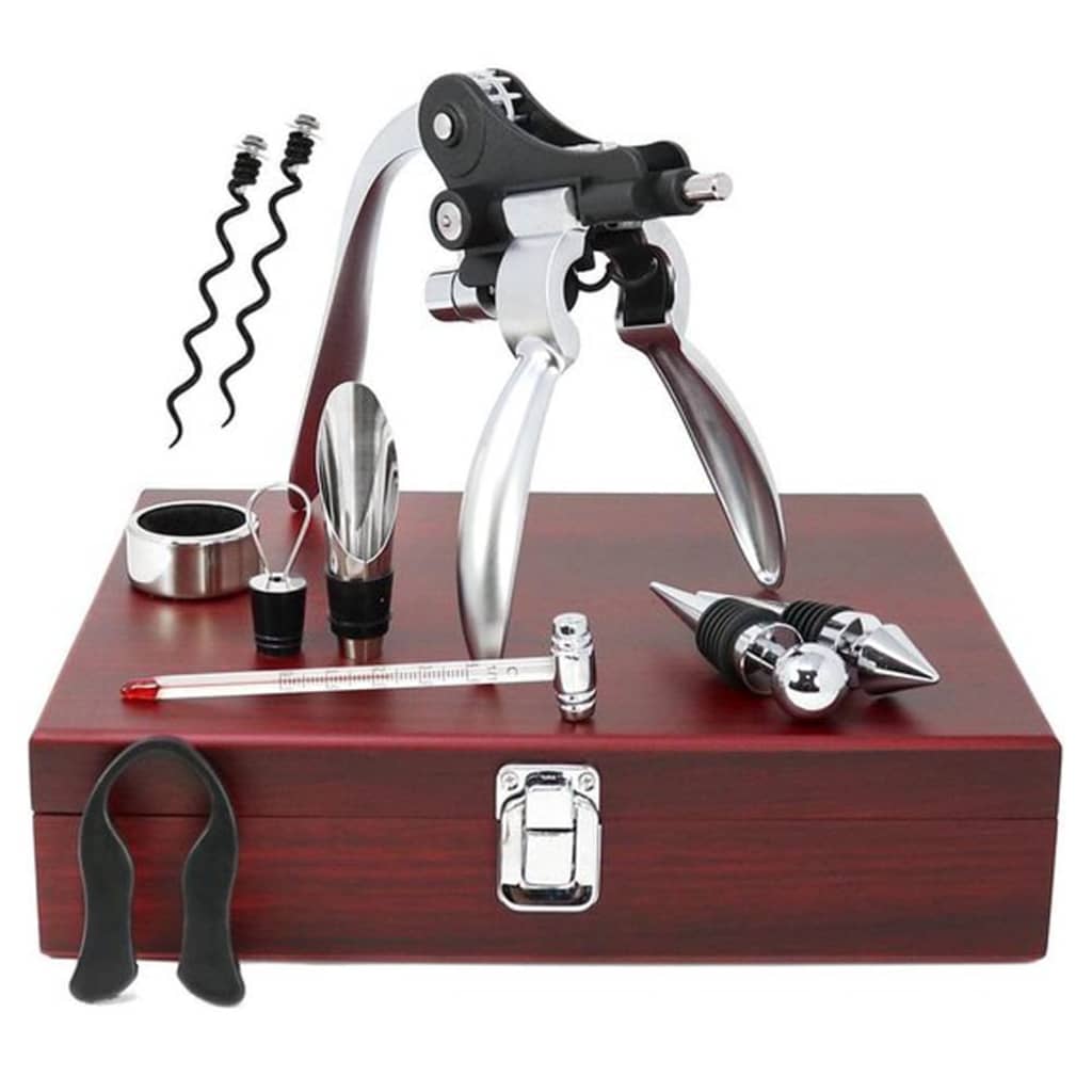 Ensemble d'accessoires pour le vin avec boîte 10 pcs