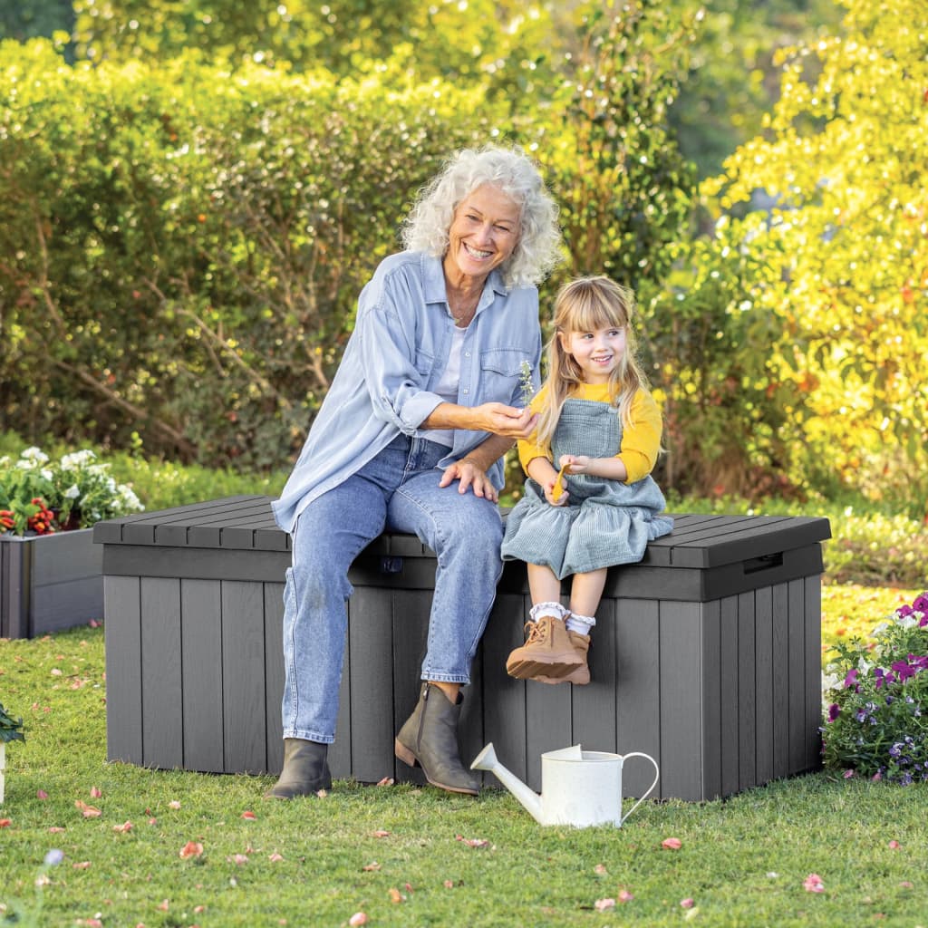 Boîte de rangement de jardin Darwin 380 L Gris