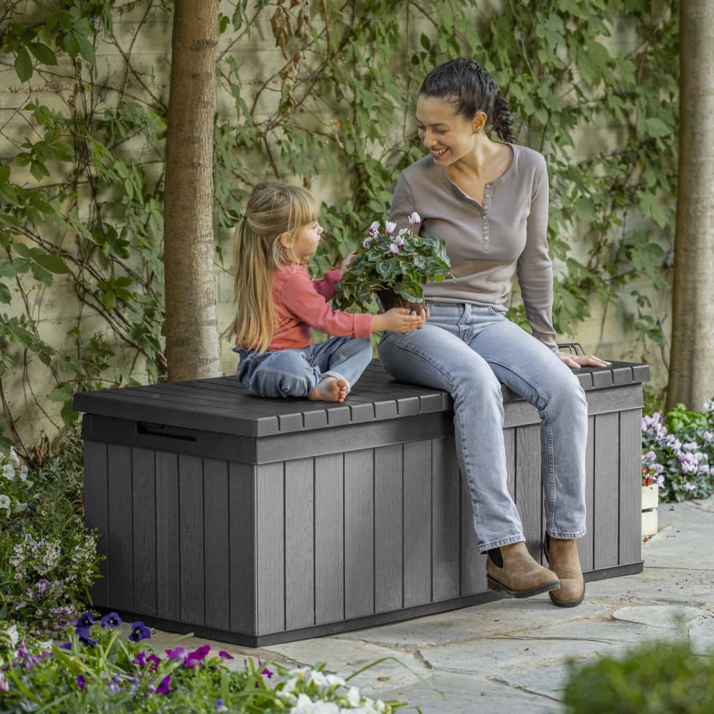 Boîte de rangement de jardin Darwin 380 L Gris