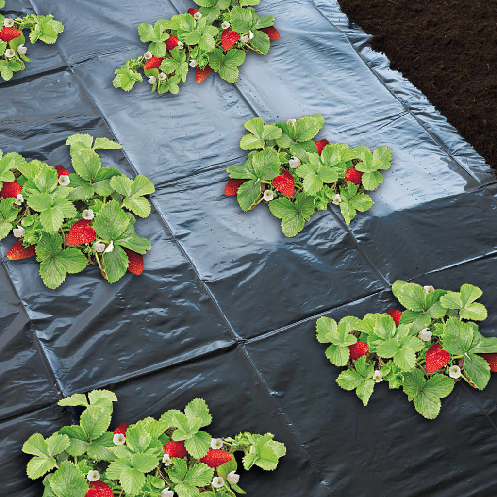 Feuille de paillis pour fraises 1,4 x 20 m 6030231