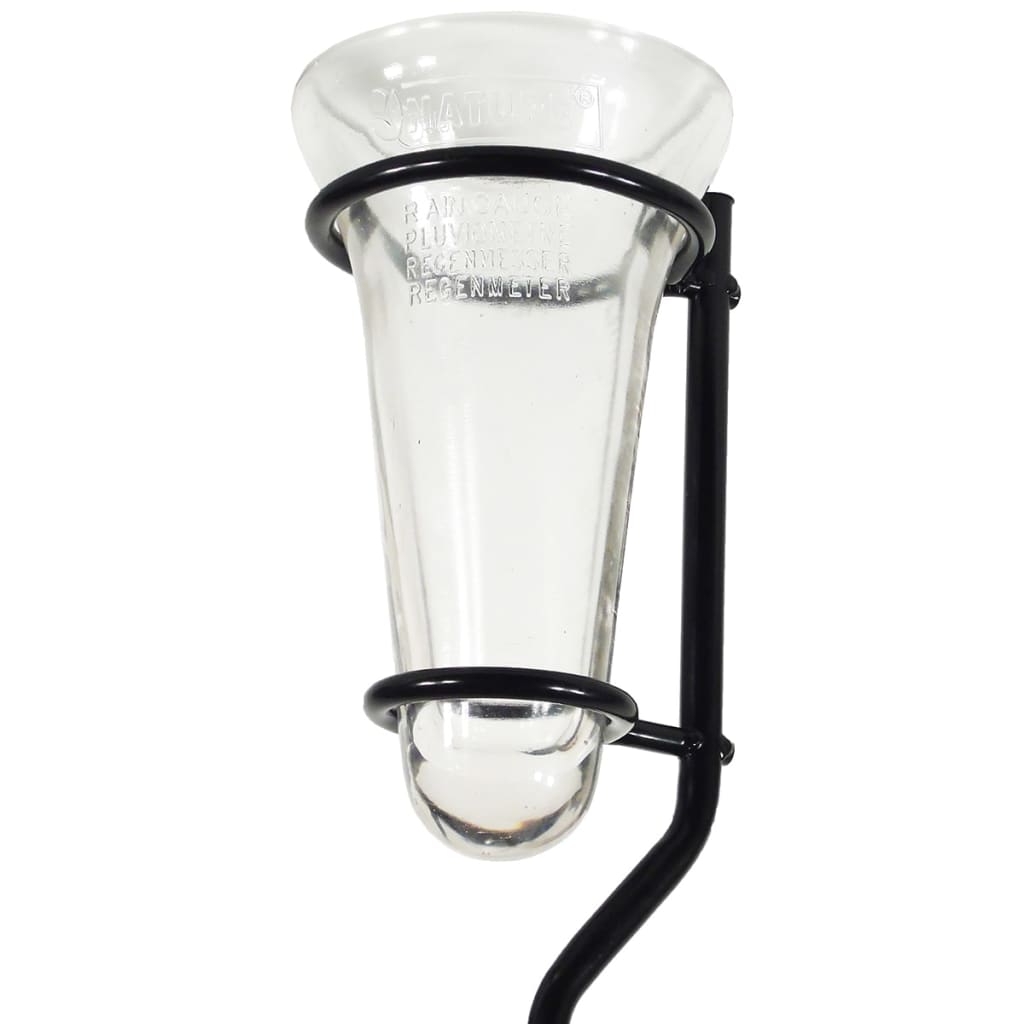 Pluviomètre avec socle Verre 130 cm 6080089