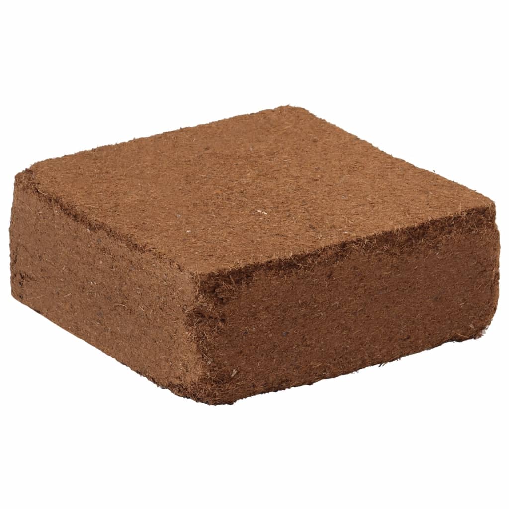 Blocs de noix de coco 2 pcs 5 kg chacun 10 kg au total