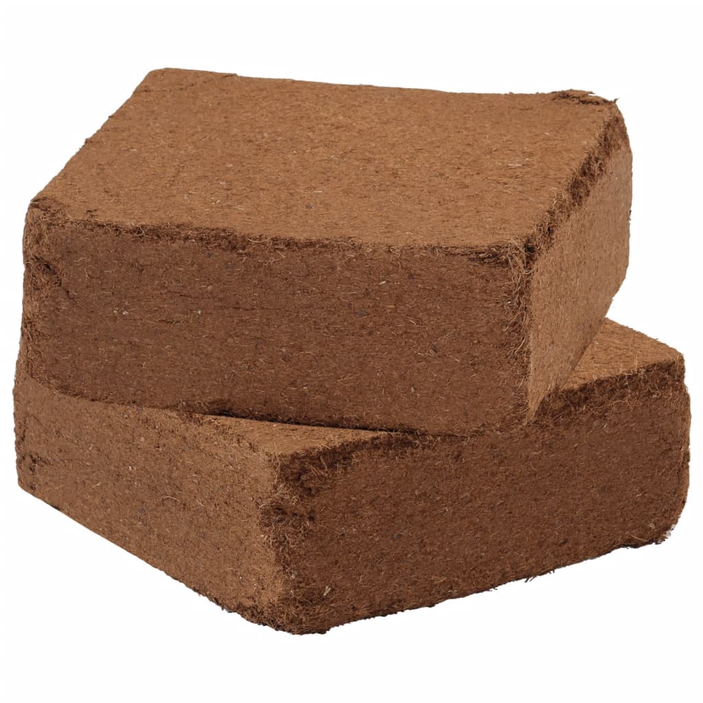 Blocs de noix de coco 2 pcs 5 kg chacun 10 kg au total