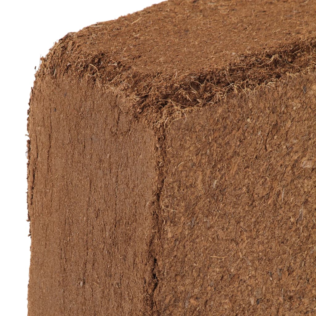 Blocs de noix de coco 2 pcs 5 kg chacun 10 kg au total
