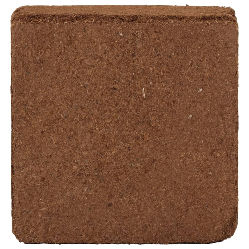 Blocs de noix de coco 2 pcs 5 kg chacun 10 kg au total